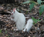 2016 06 11 WildLife MPLS 120